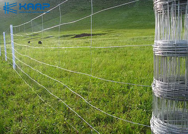 A tela de rede de arame tecida de aço inoxidável fabricada parte em volta do produto químico das peneiras resistente